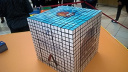 A legnagyobb magyar Rubik-kocka mozaik