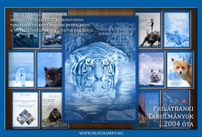 Blochamps Évkönyv hirdetés