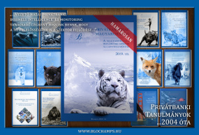 2012-2019 Éves Összefoglaló Privátbanki és Vagyonkezelési Tanulmányok tartalomjegyzékei