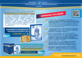 A VAGYONKEZELÉSI ÉS PRIVÁTBANKI PIAC SZAKEMBEREINEK ÉVKÖNYVE: December végén megjelenik a Magyar Privátbanki és Vagyonkezelési Piac 2022 Éves Összefoglalója 250 oldalon!